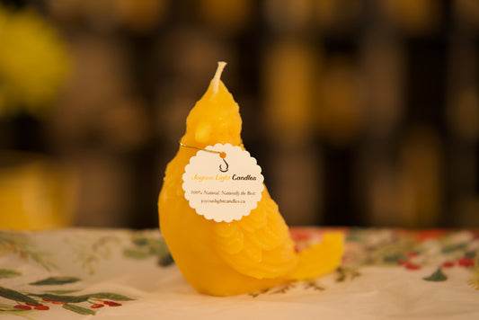 Unique pure beeswax candle with detailed cardinal design, eco-friendly, 3x4 inches